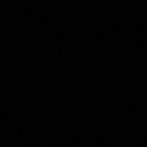 Meet your Posher, Avery